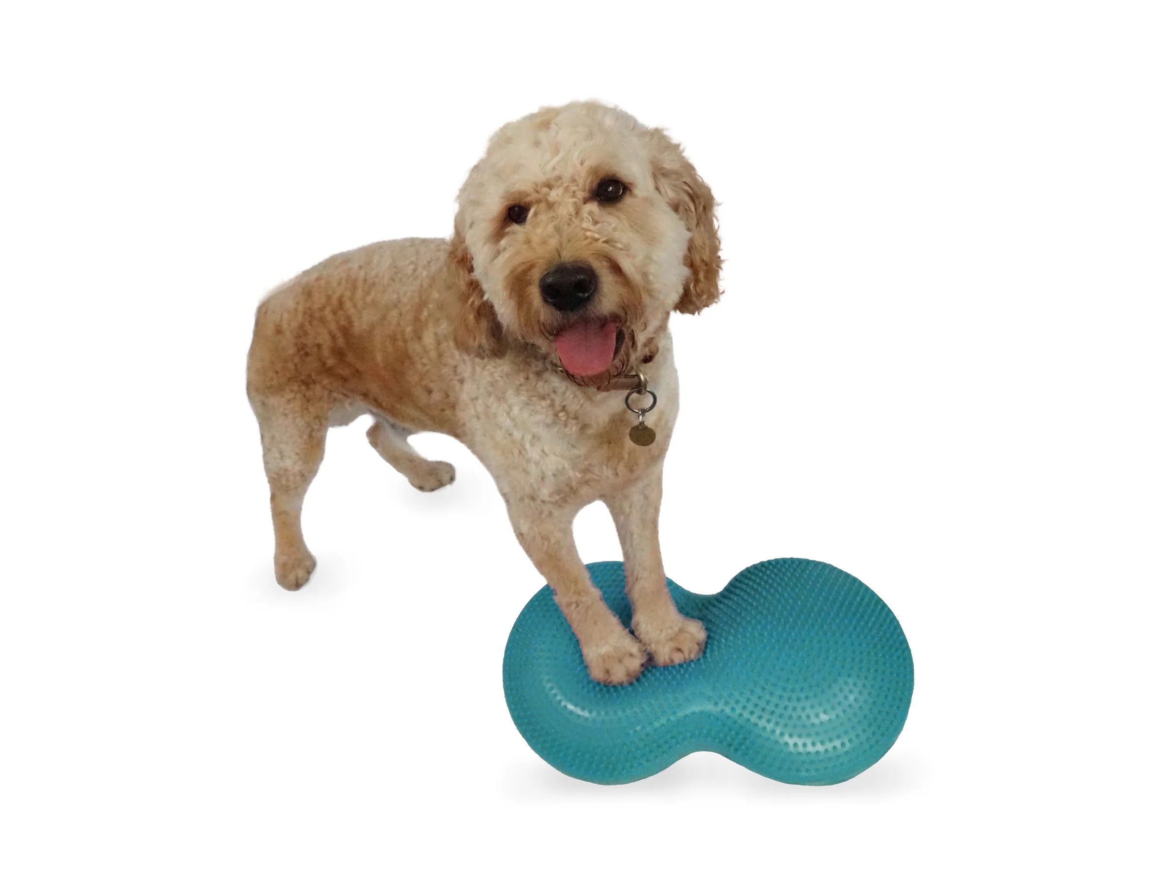FitPaws Duo Disc