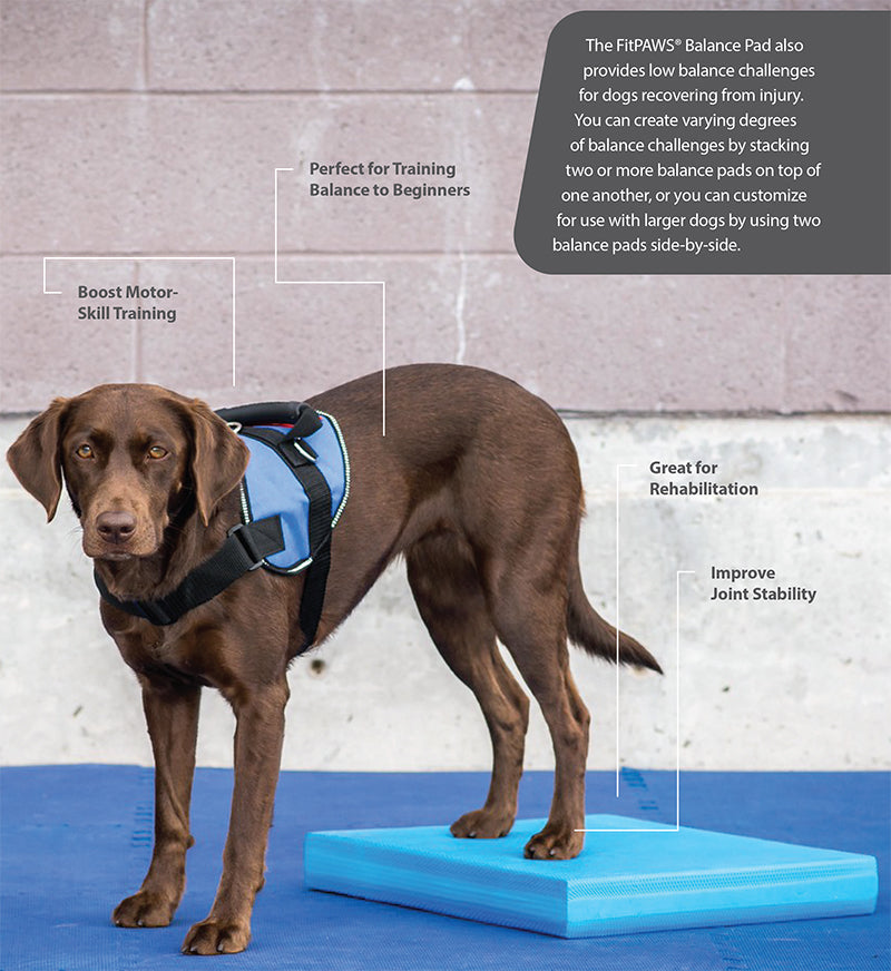 FitPAWS® Balance Pad