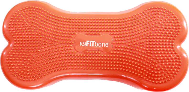 FitPAWS® K9FITbone