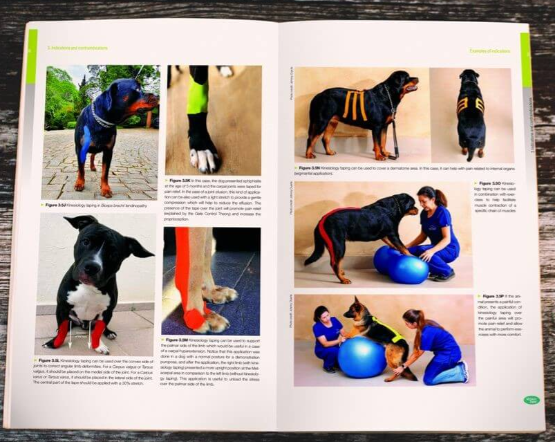 MTC® Kinesiology Taping for Dogs Book